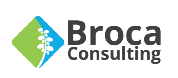 BROCA CONSULTING